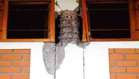 미국 노스리지 지진 벽 파손 (1994)